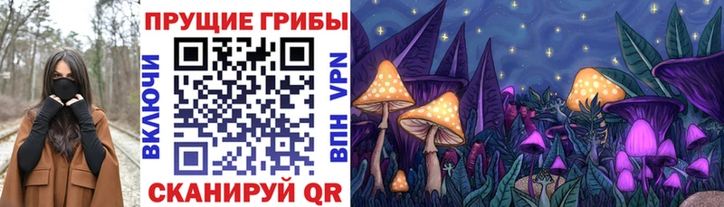 хочу   Шлиссельбург  Псилоцибиновые грибы прущие грибы 
