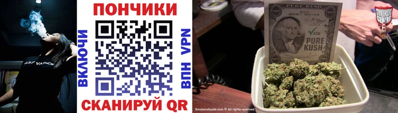 купить закладку  Шлиссельбург  Бошки Шишки OG Kush 